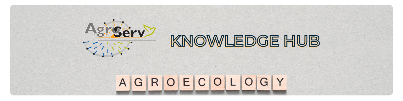 knowledge hub banner